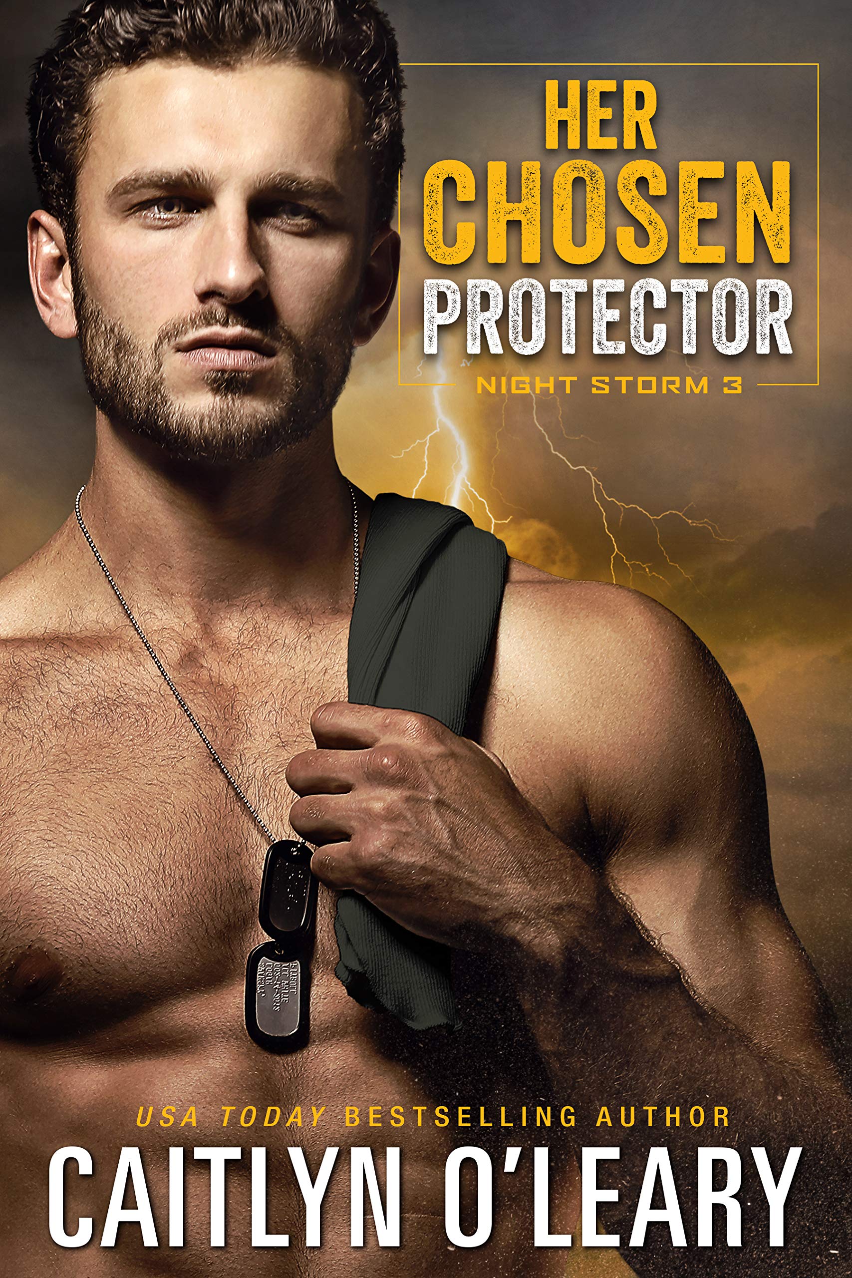 Her Chosen Protector book cover