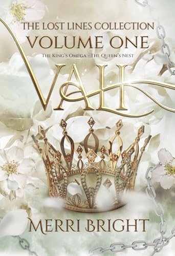 Vali book cover