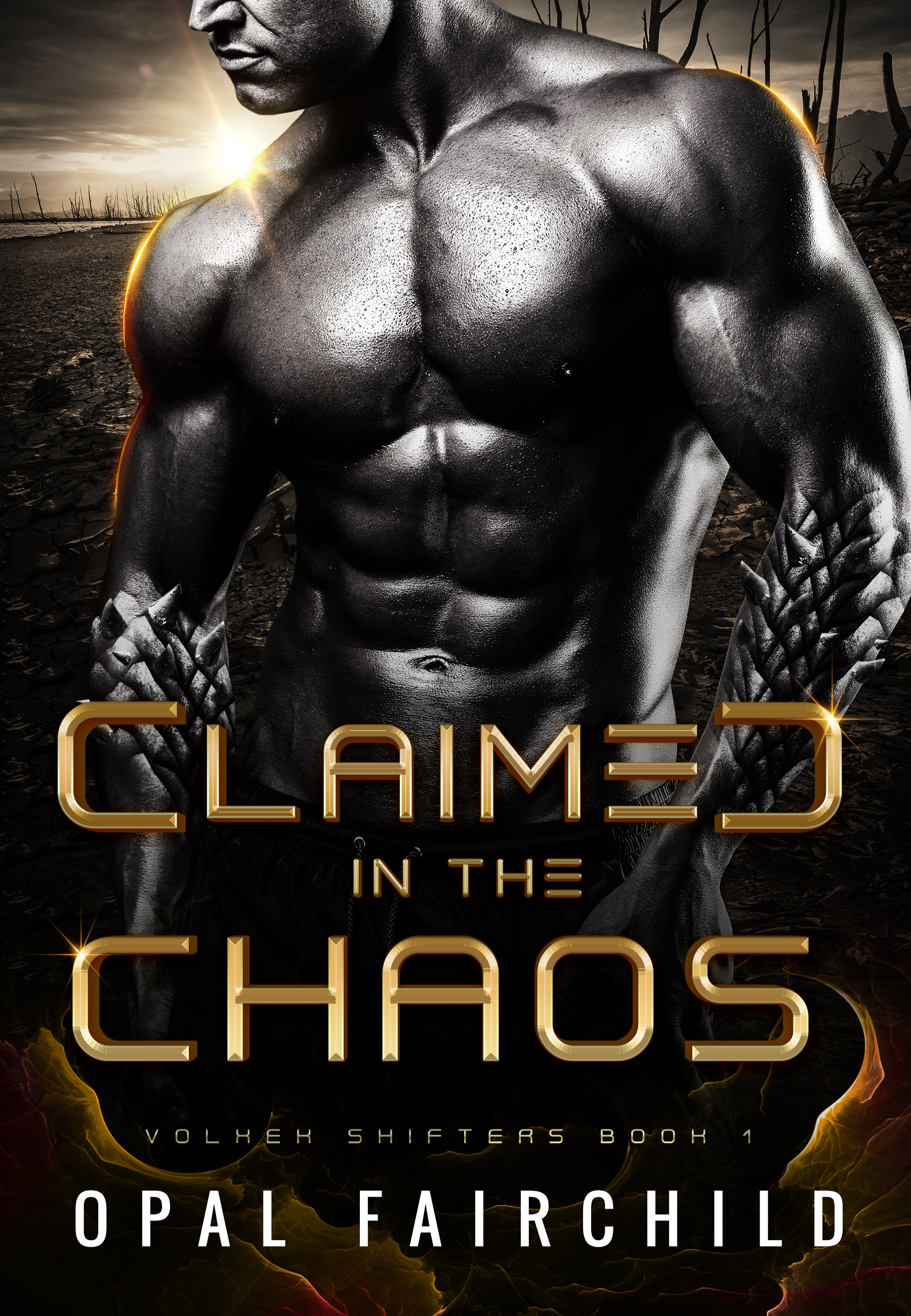 Volxek Shifters book cover 1