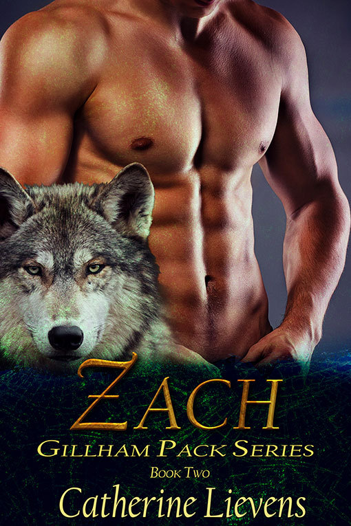 Gillham Pack book cover 2