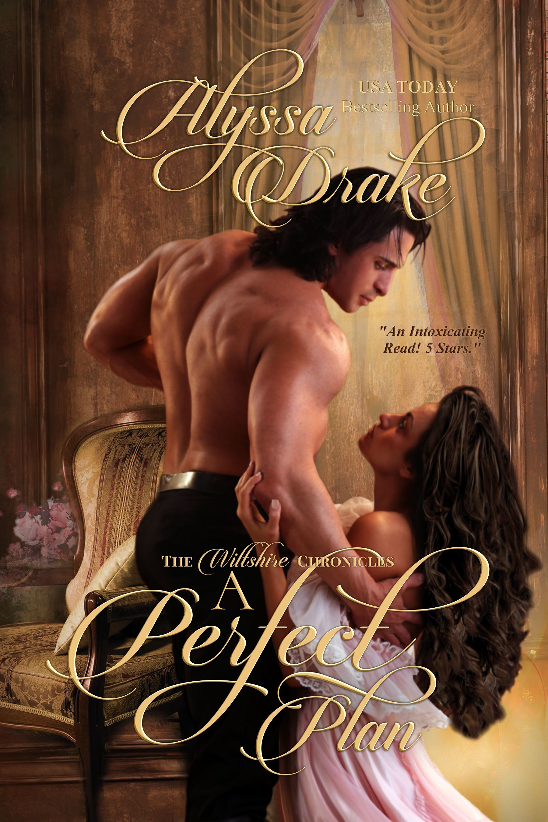 A Perfect Plan book cover