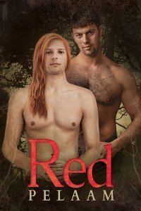 Red book cover