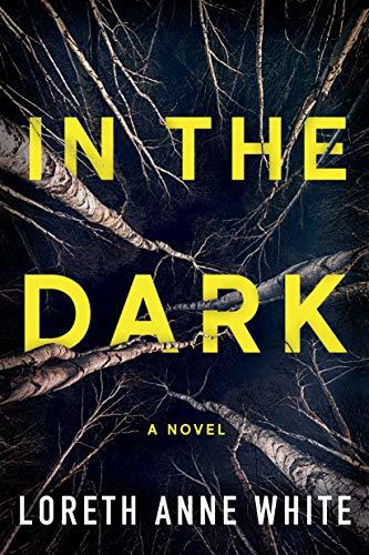 In the Dark book cover