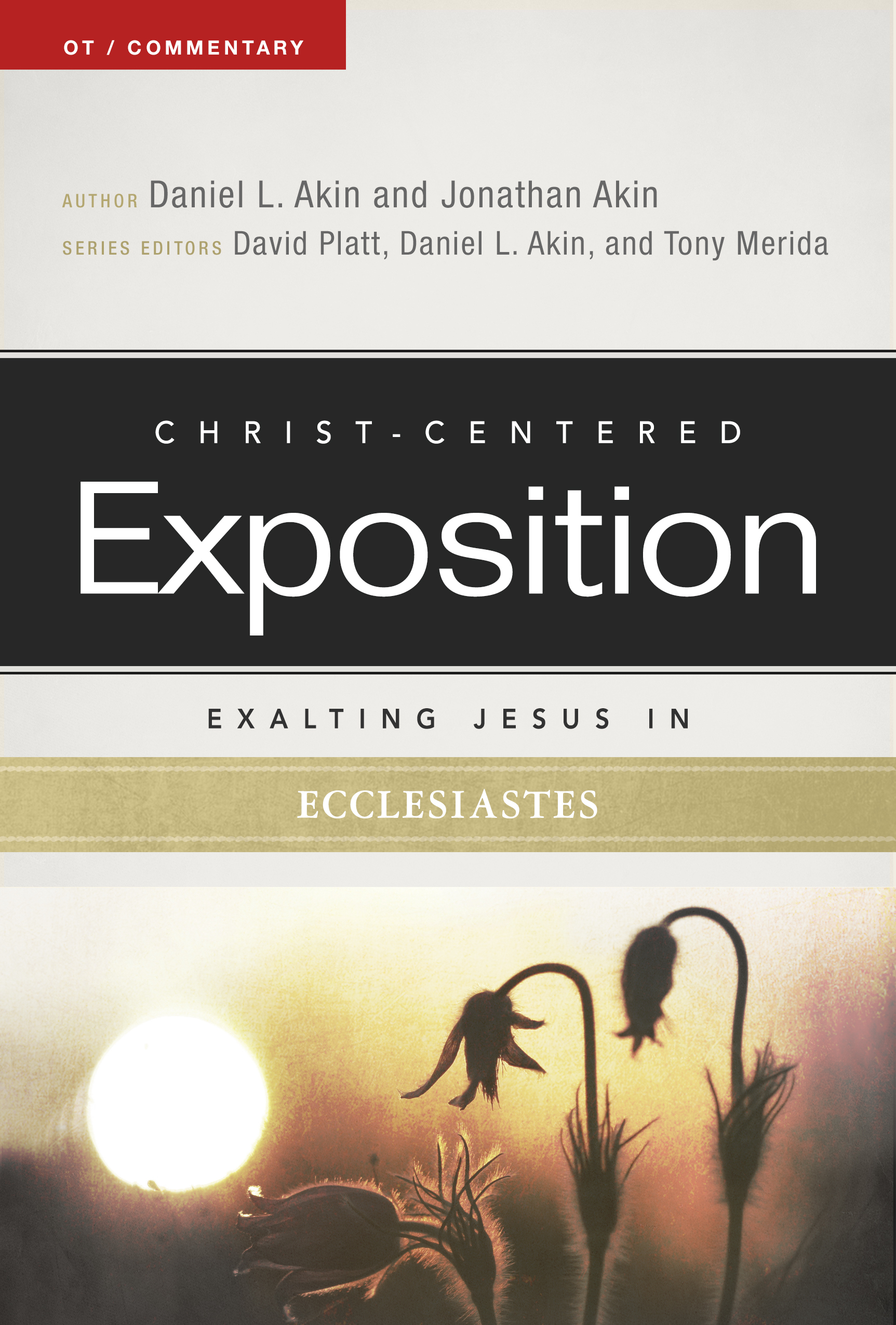 Exalting Jesus in Ecclesiastes book cover