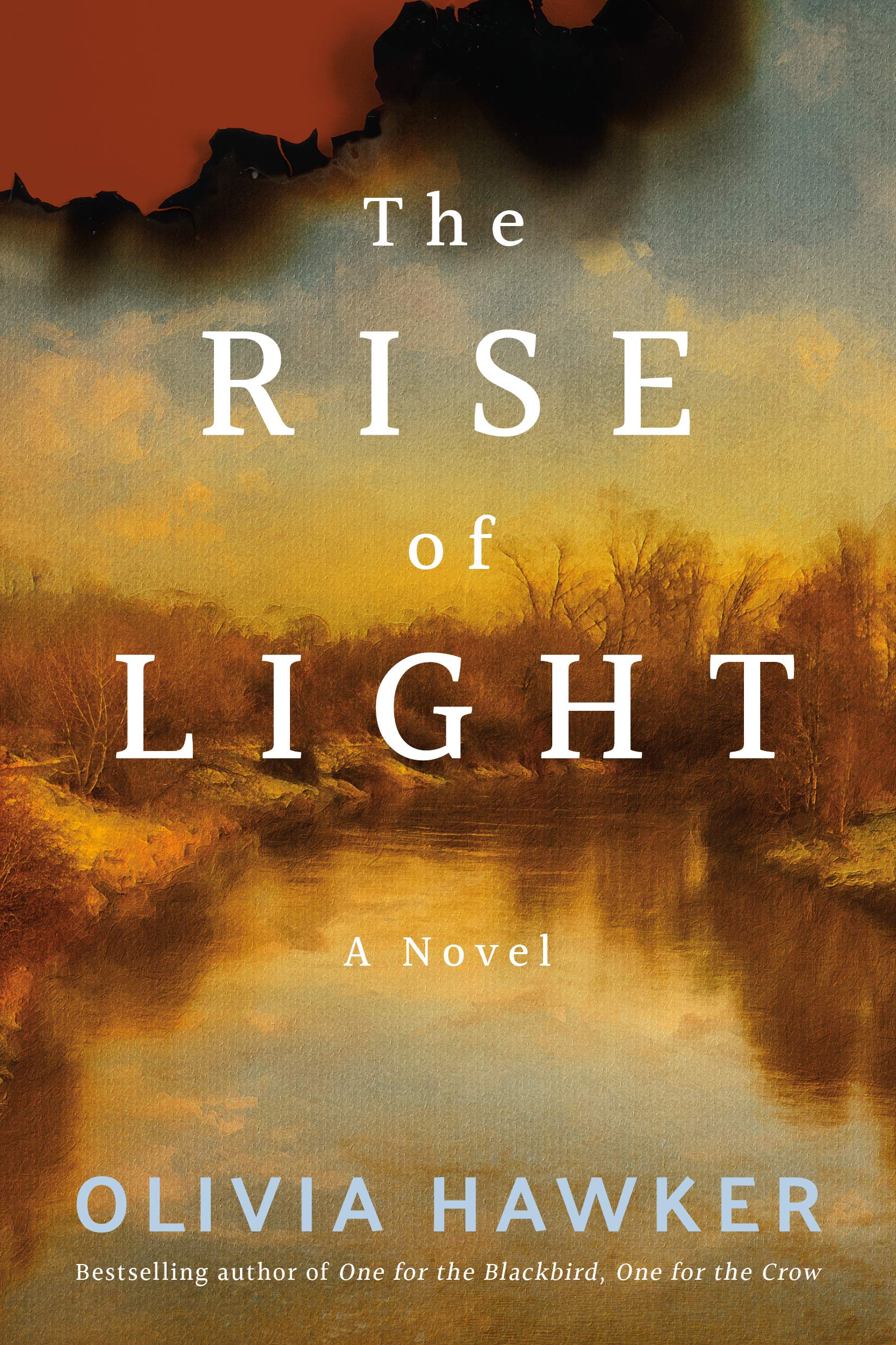 The Rise of Light book cover