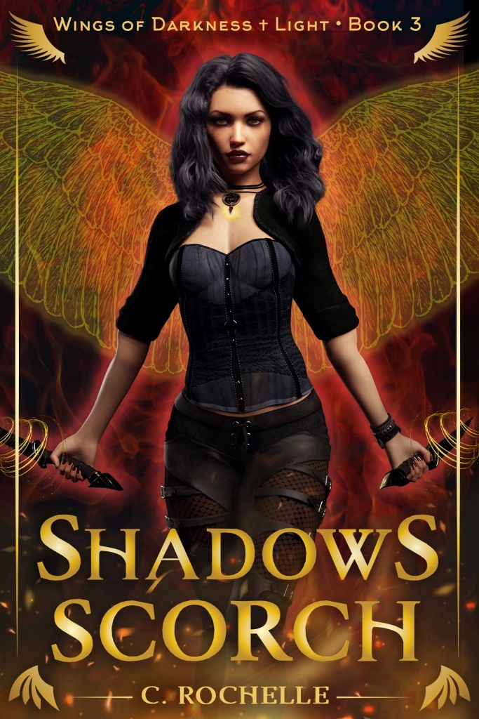 Wings of Darkness + Light book cover 3