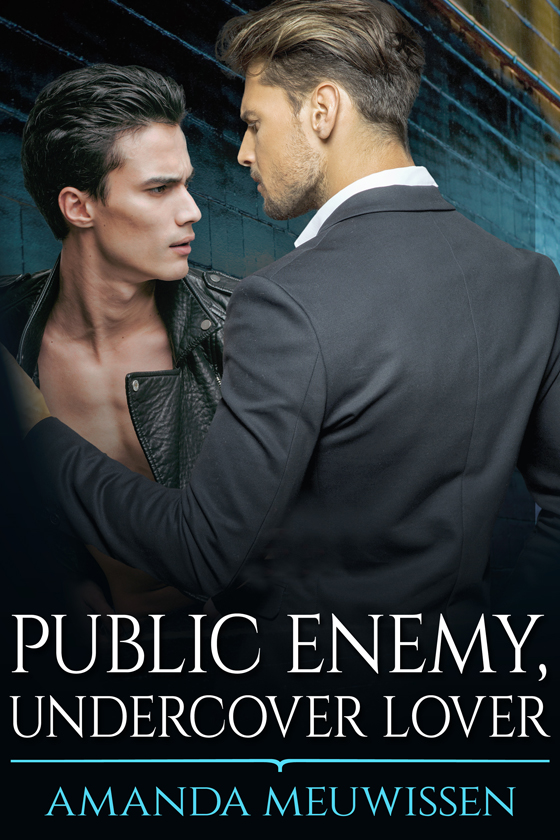 Public Enemy, Undercover Lover book cover