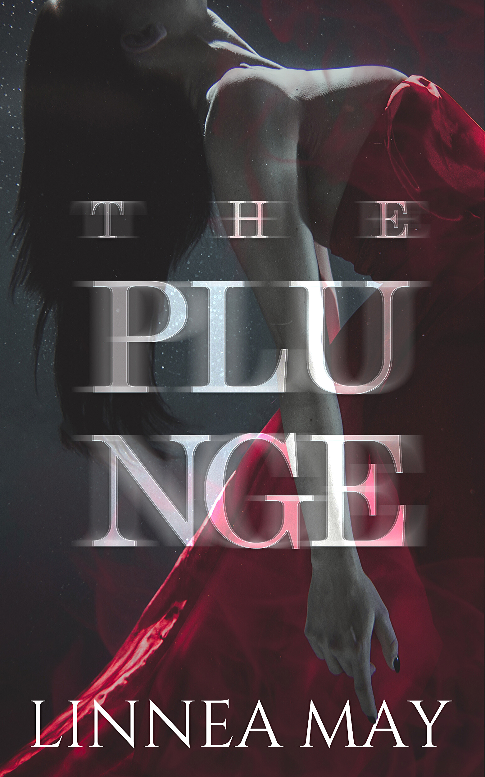 The Plunge book cover