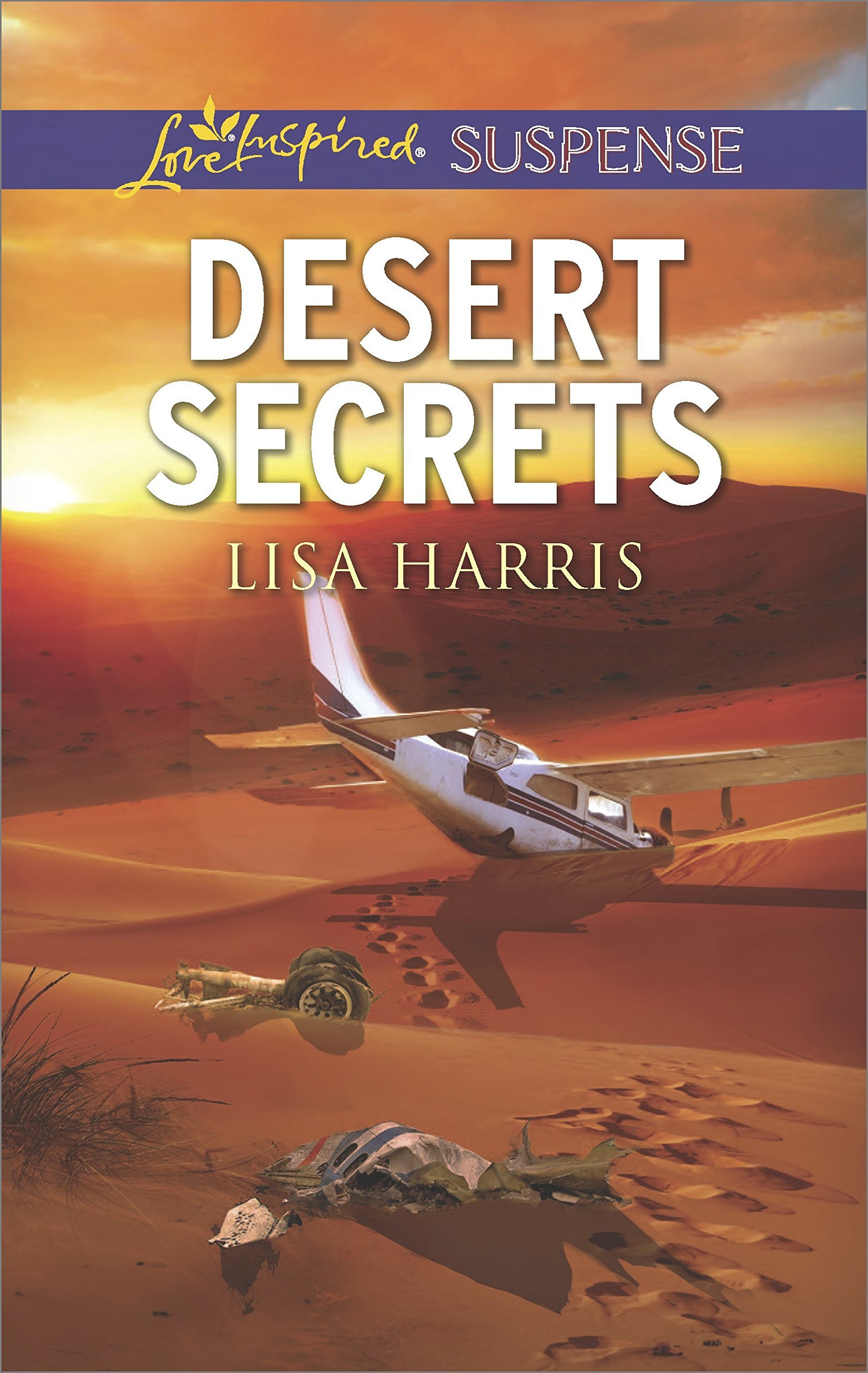Desert Secrets book cover