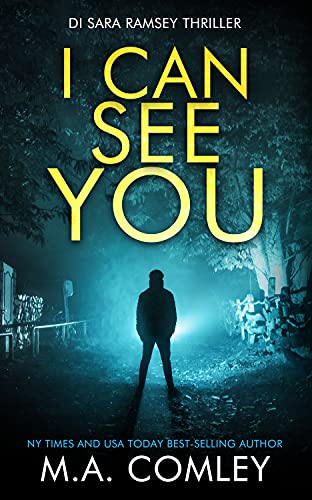 I Can See You book cover