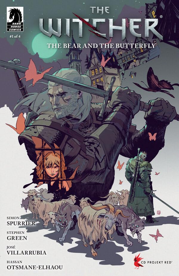 The Witcher book cover