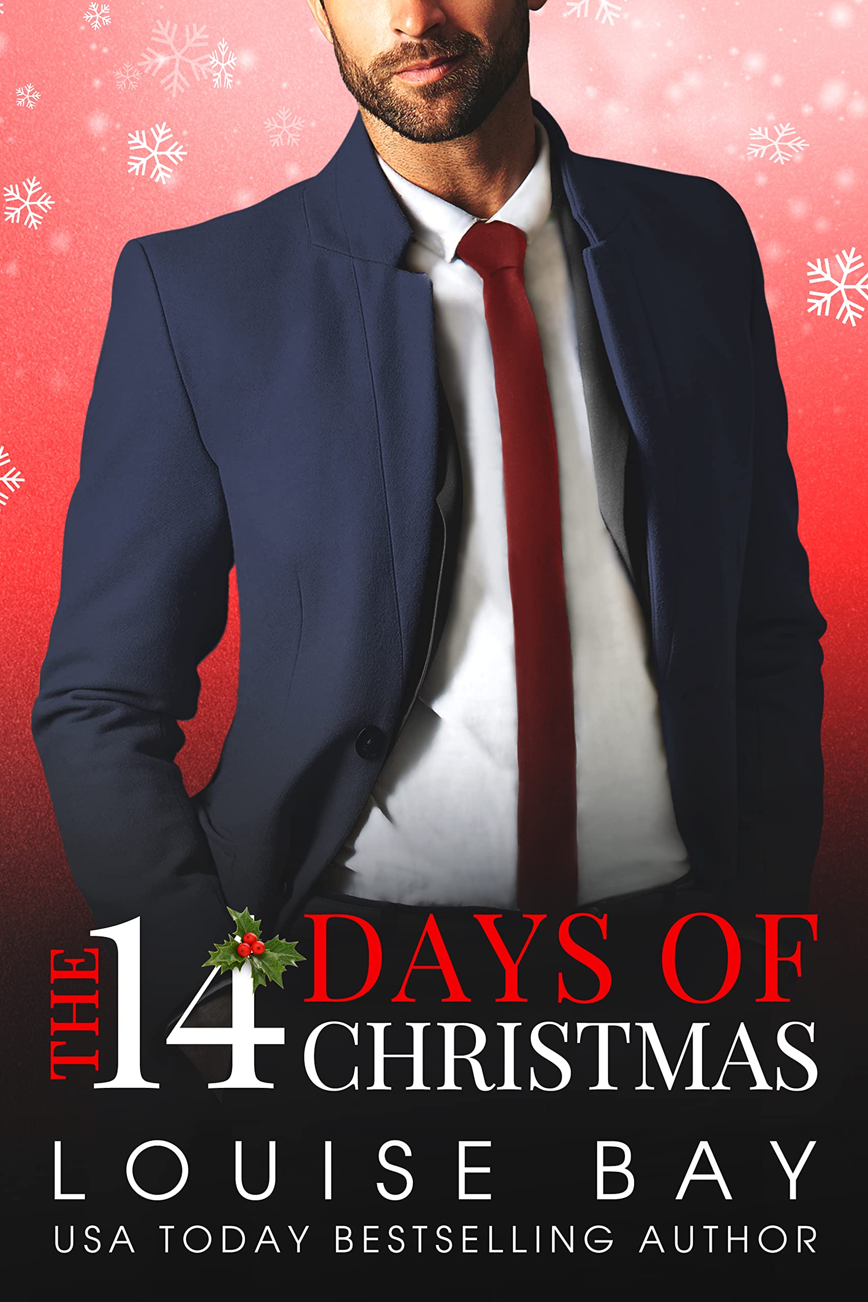 The 14 Days of Christmas book cover