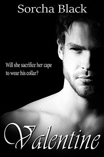 Valentine book cover