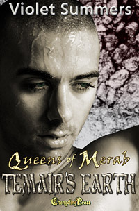 Temair's Earth book cover