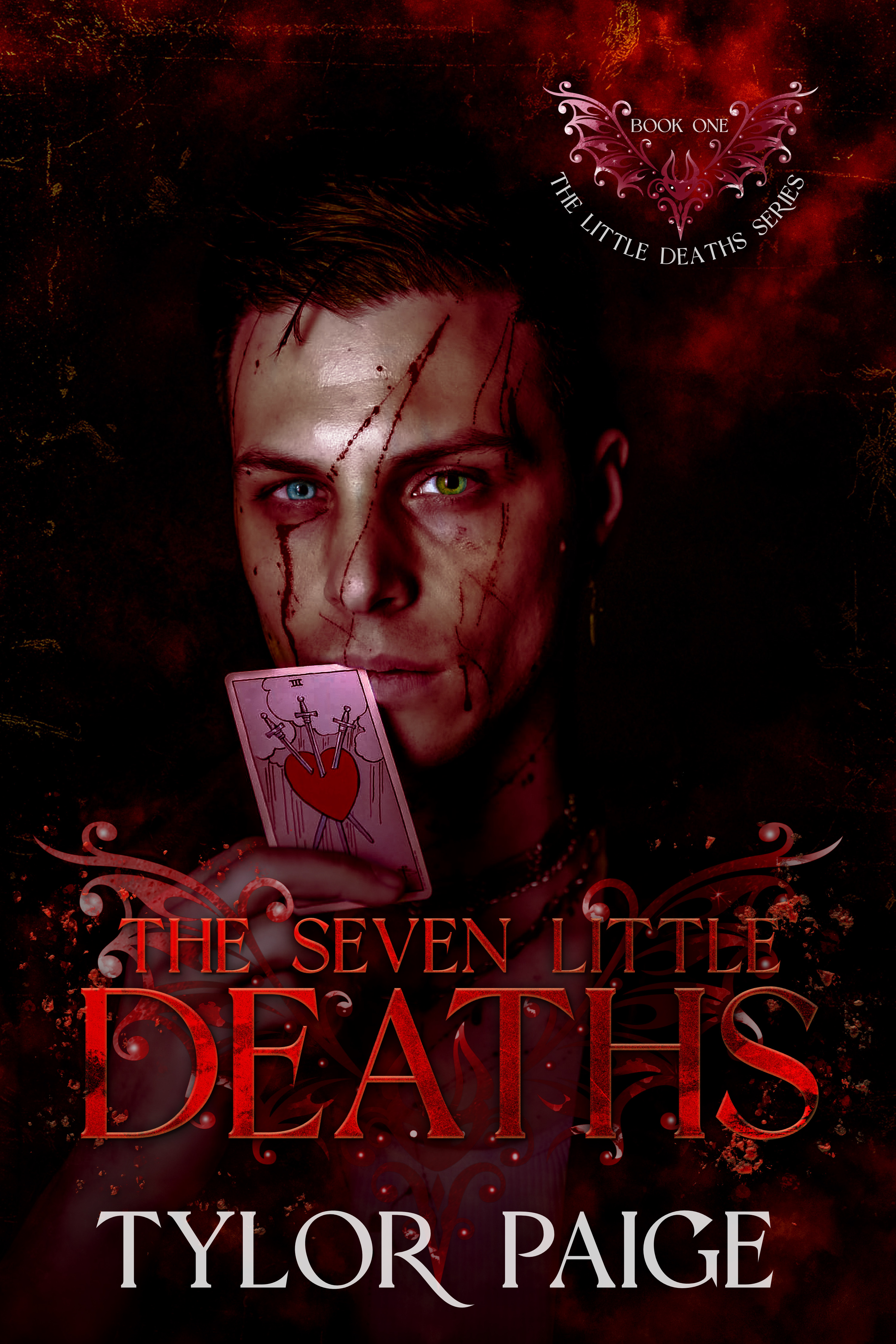 The Seven Little Deaths book cover