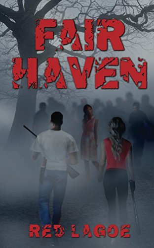 Fair Haven book cover