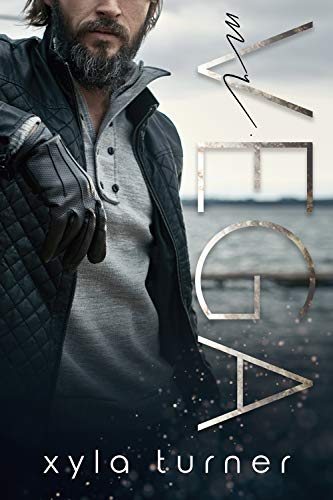 Mister book cover 1
