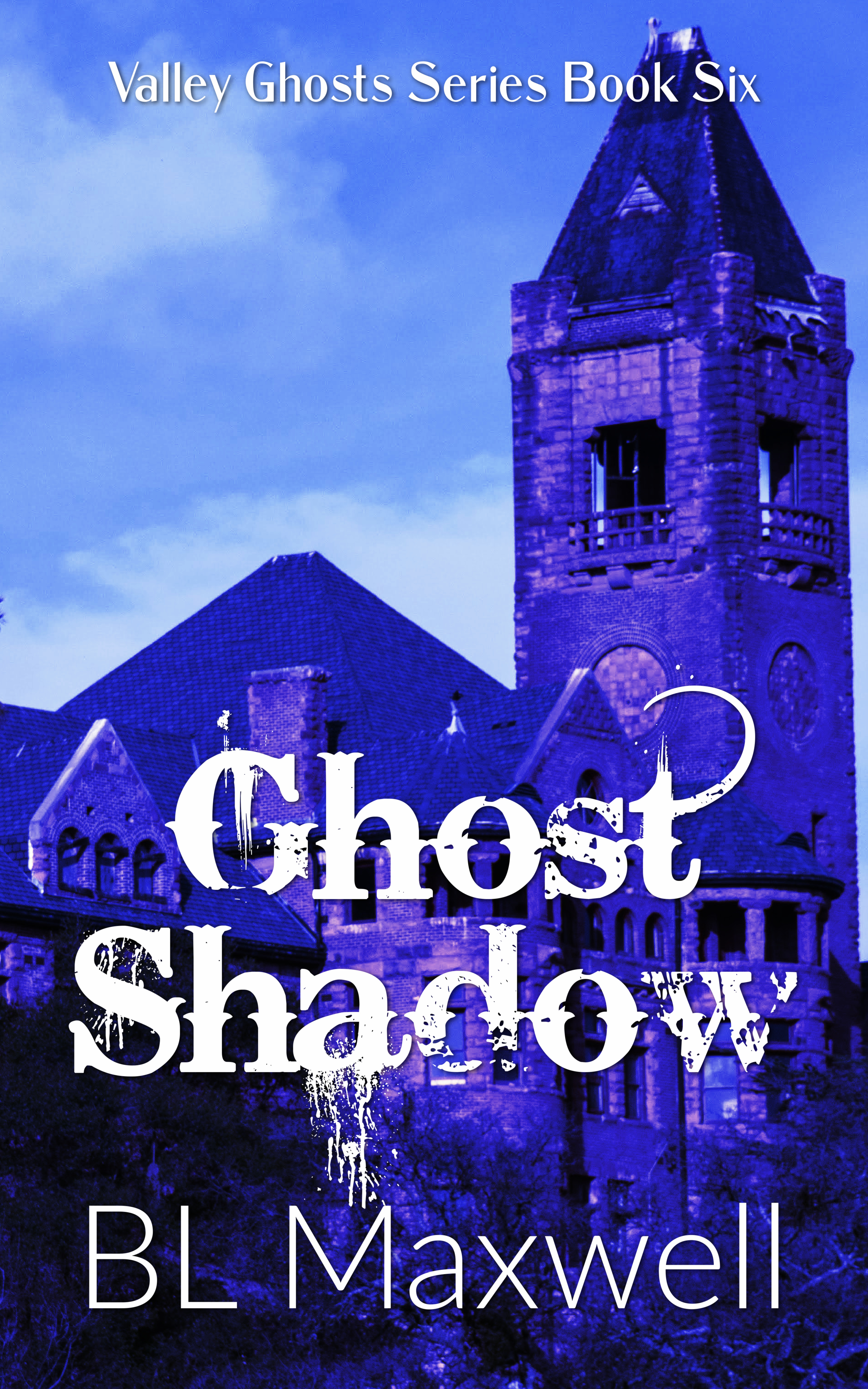 Ghost Shadow book cover