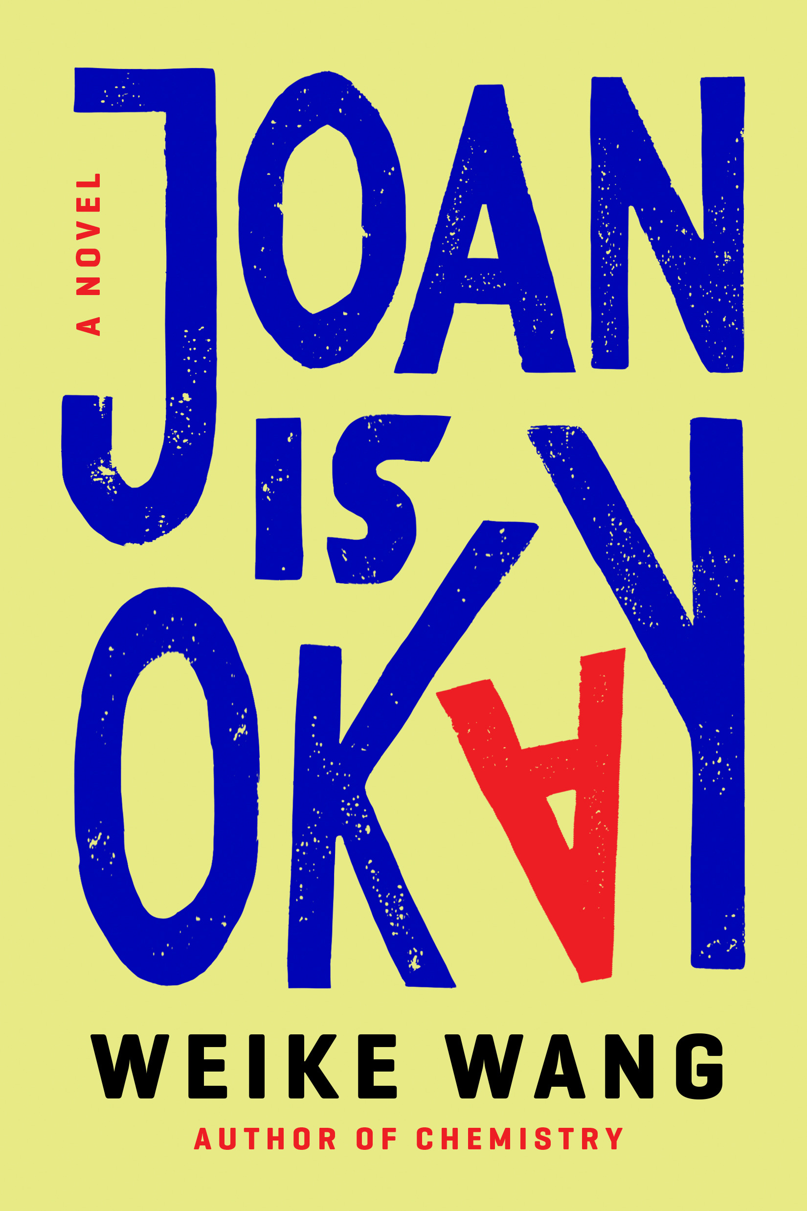 Joan Is Okay book cover