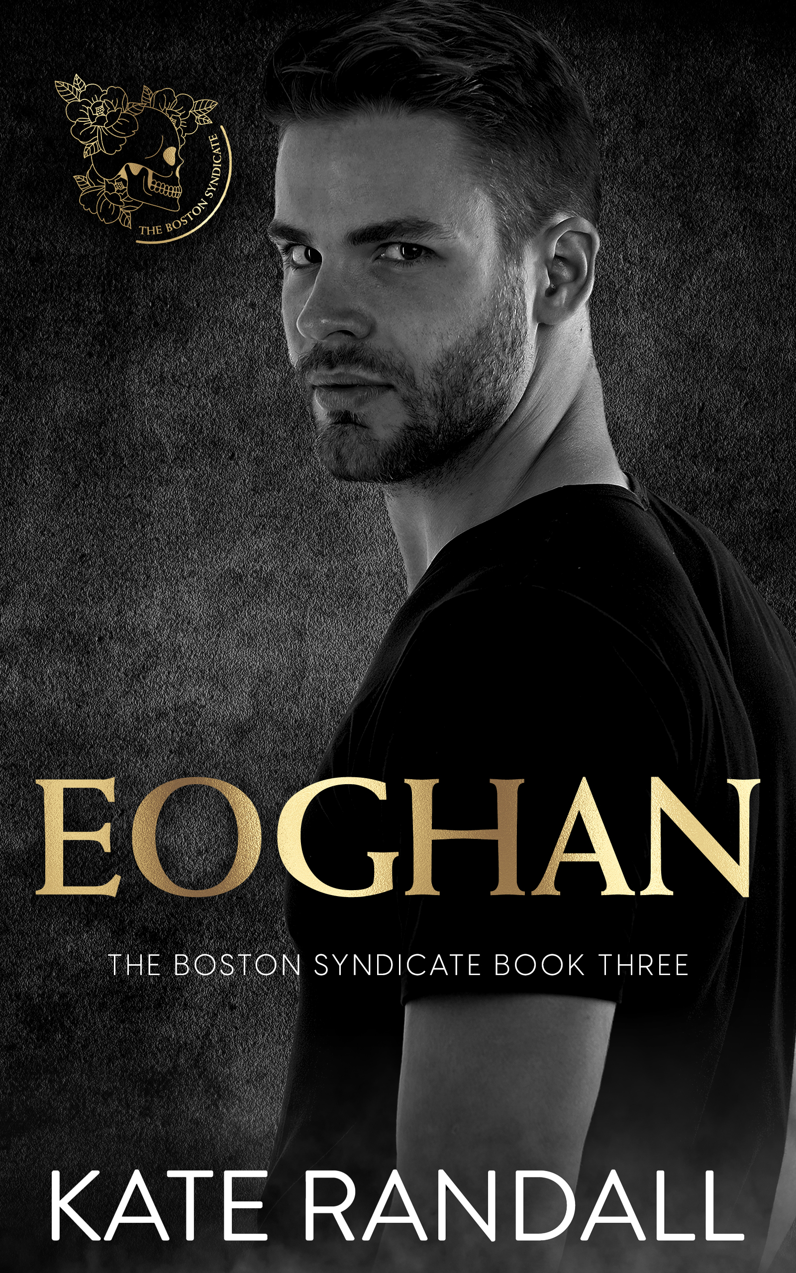 The Boston Syndicate book cover 3