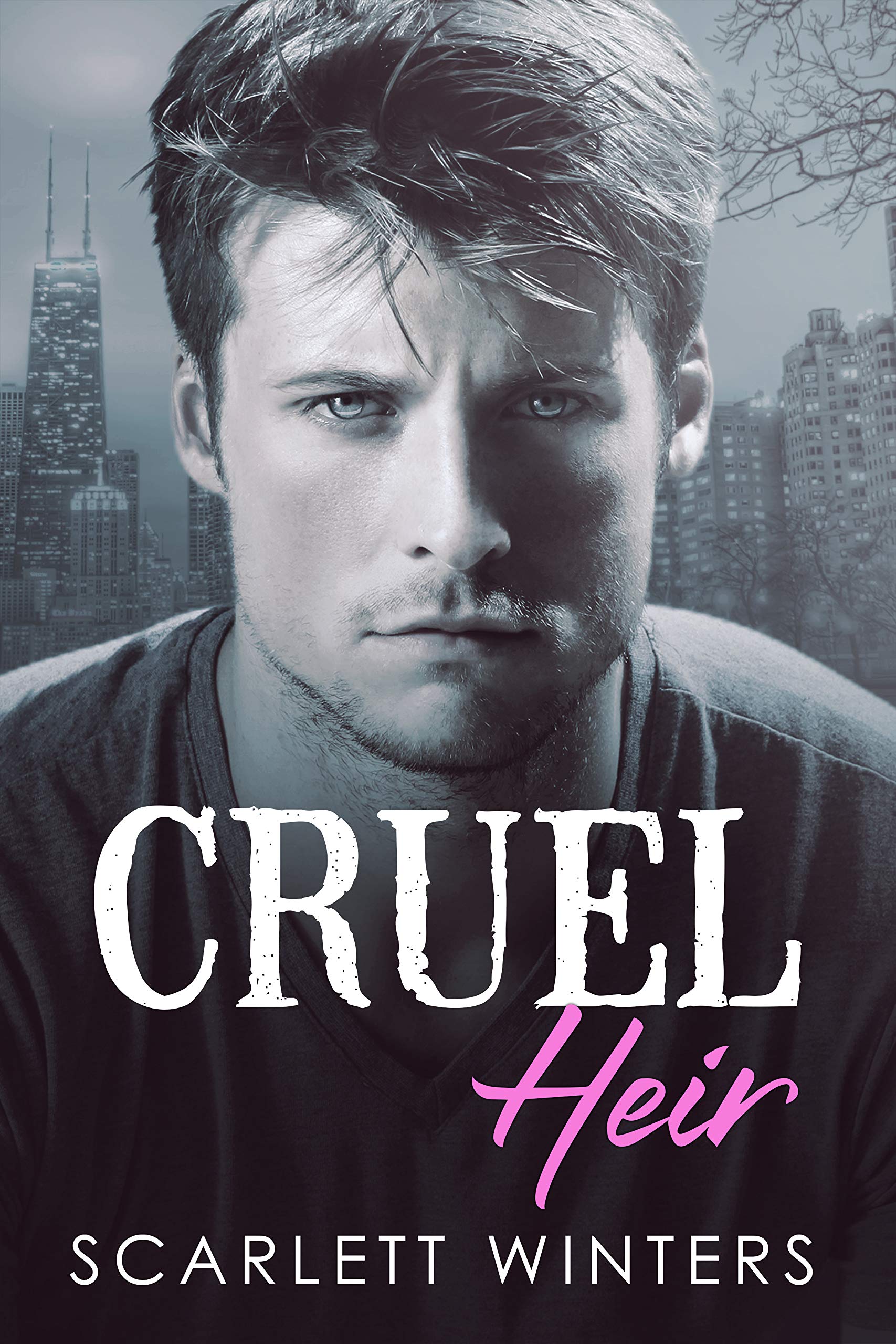 Cruel Heir book cover