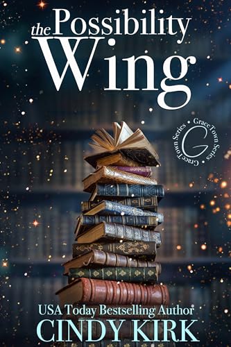 The Possibility Wing book cover