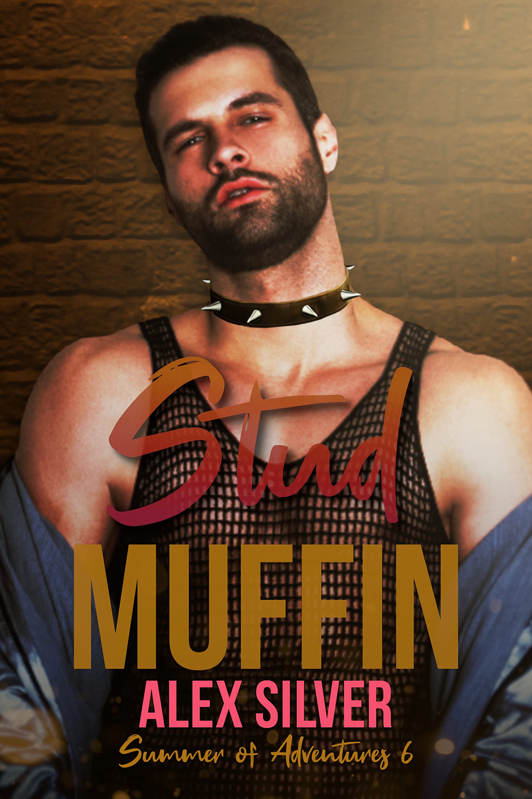 Stud Muffin book cover