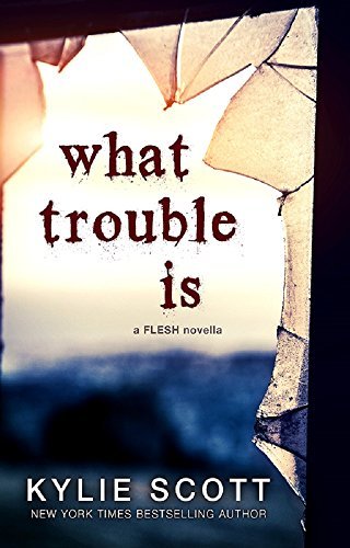 What Trouble Is book cover