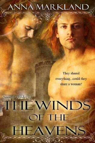 Sons of Rhodri book cover 3