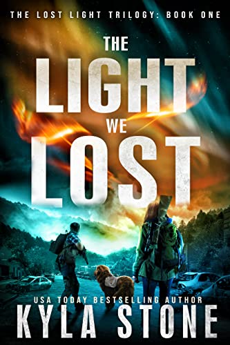 The Light We Lost book cover