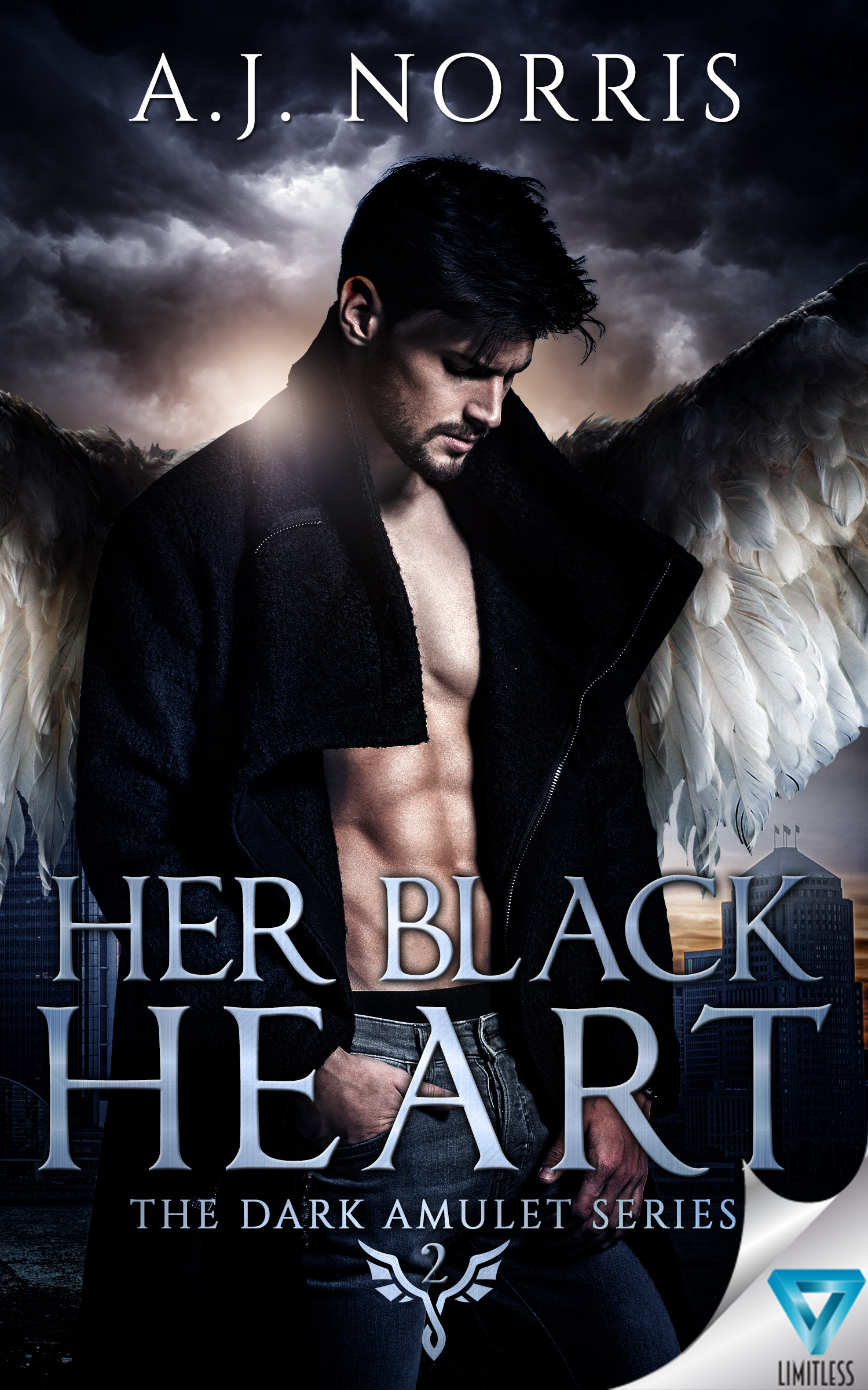 The Dark Amulet book cover 2