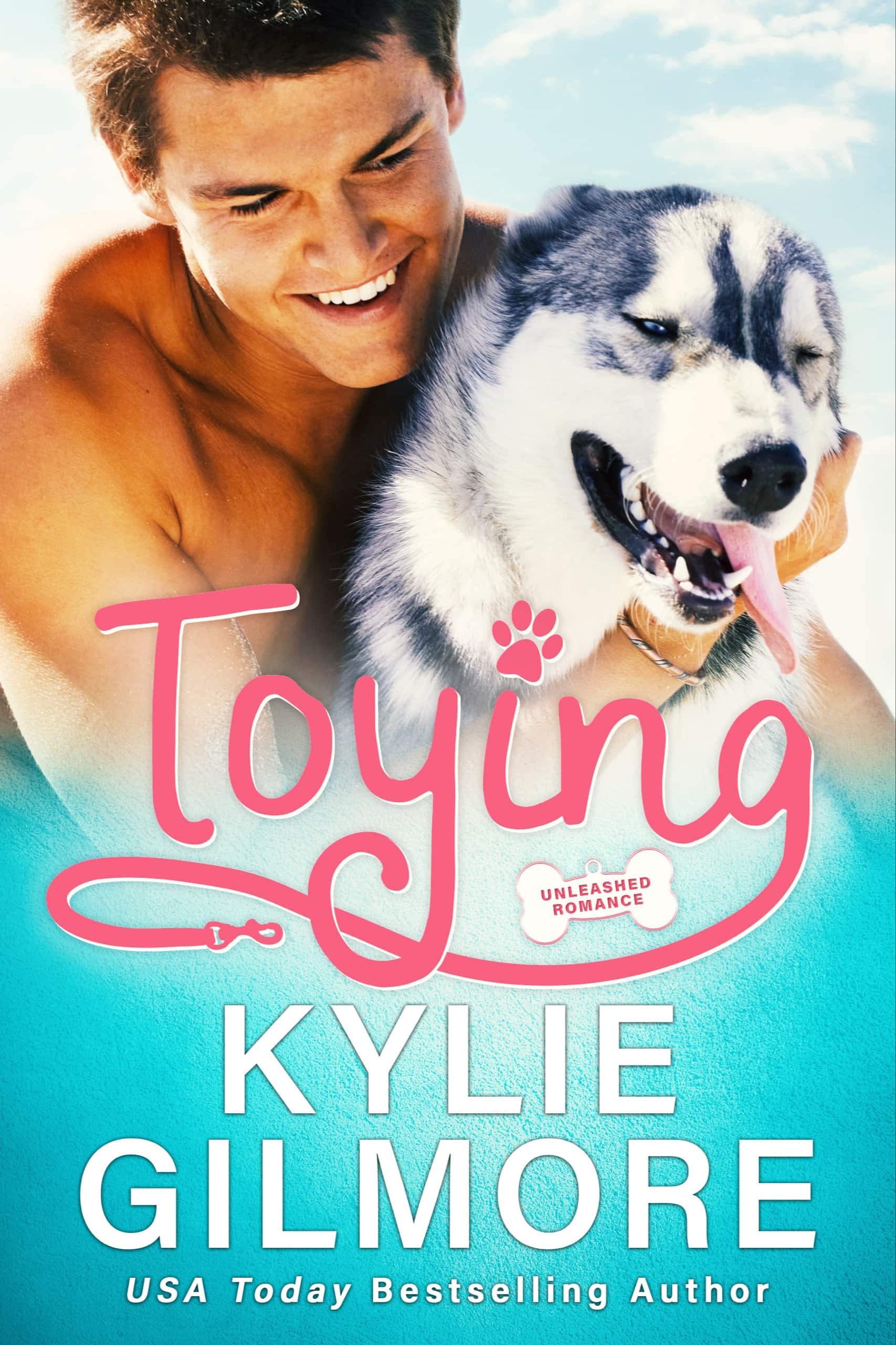 Toying book cover