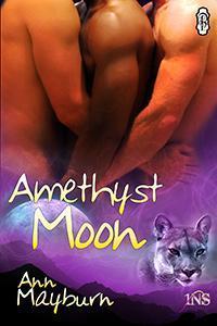 Amethyst Moon book cover