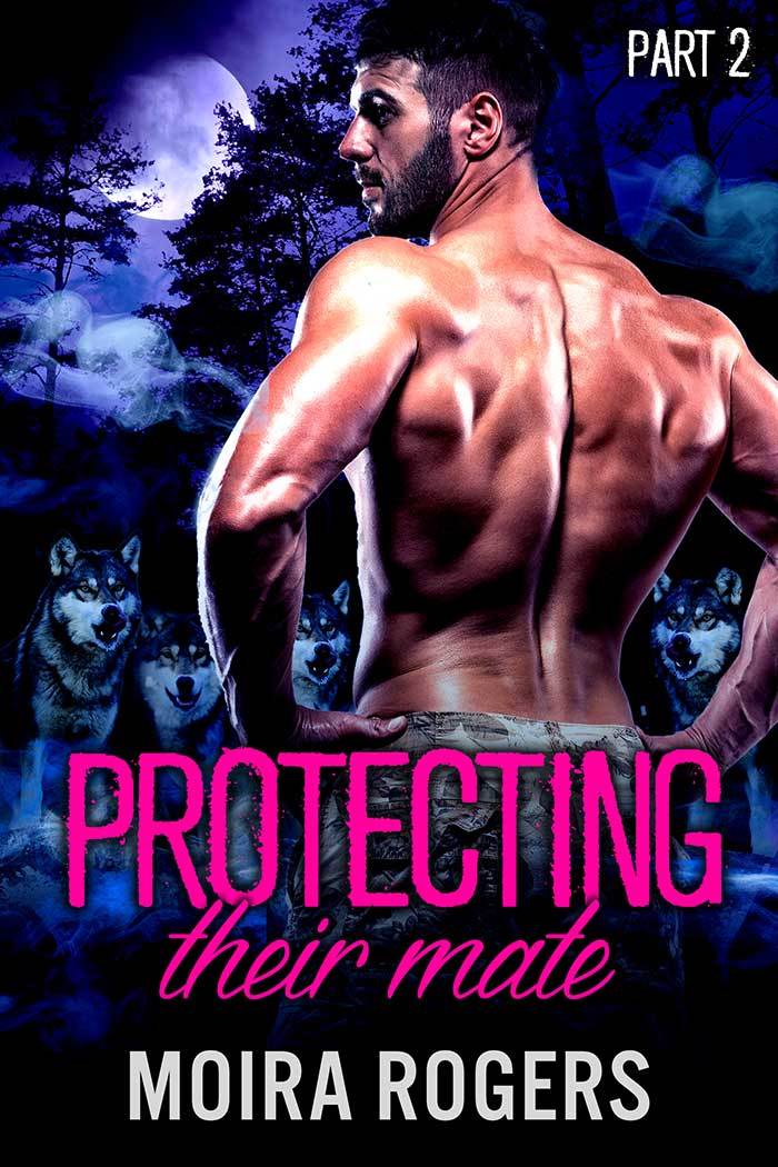 Protecting Their Mate book cover 2