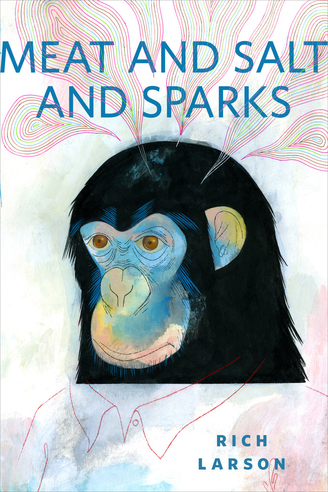 Meat and Salt and Sparks book cover