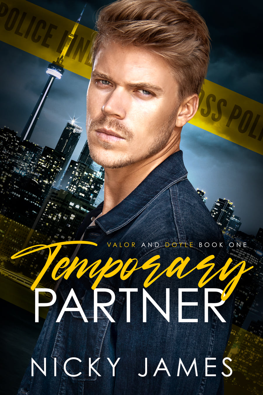 Valor and Doyle Mysteries book cover 1