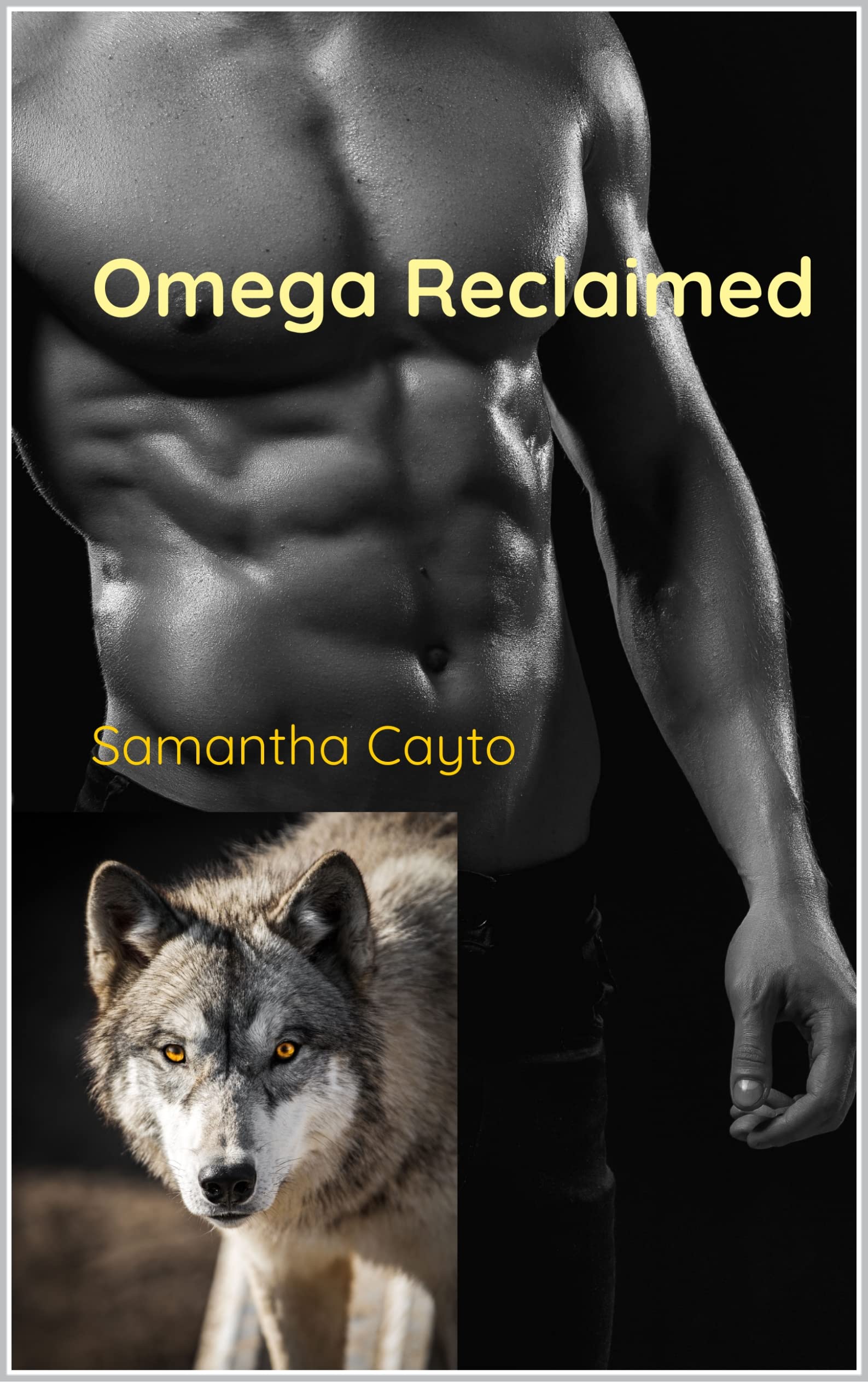 Omega Reclaimed book cover