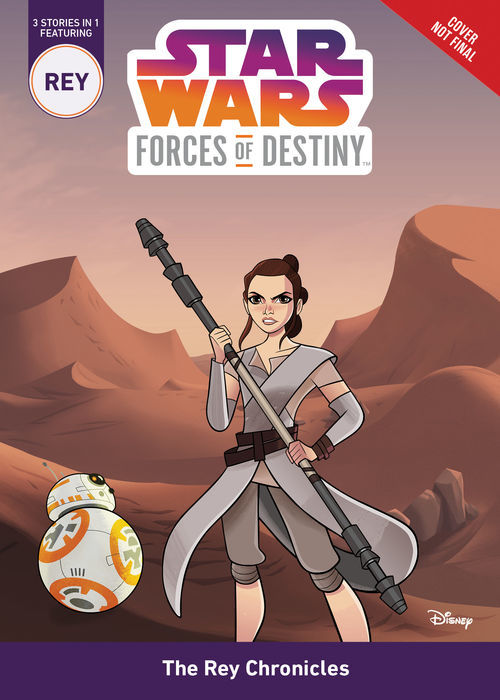 The Rey Chronicles book cover