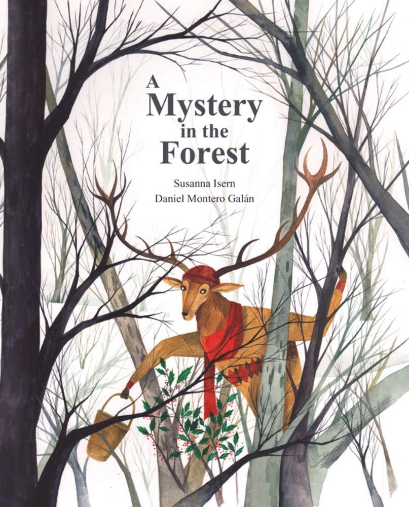 A Mystery in the Forest book cover