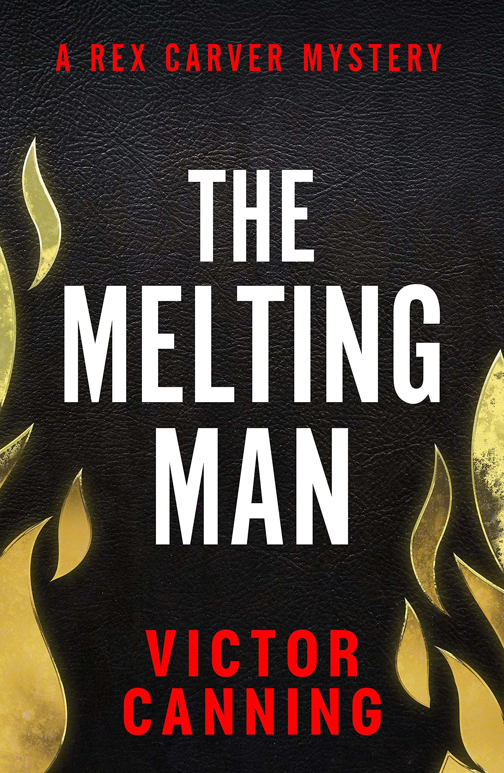 The Melting Man book cover
