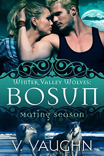 Bosun book cover