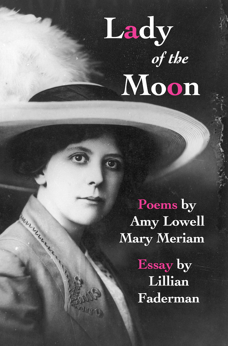 Lady of the Moon book cover