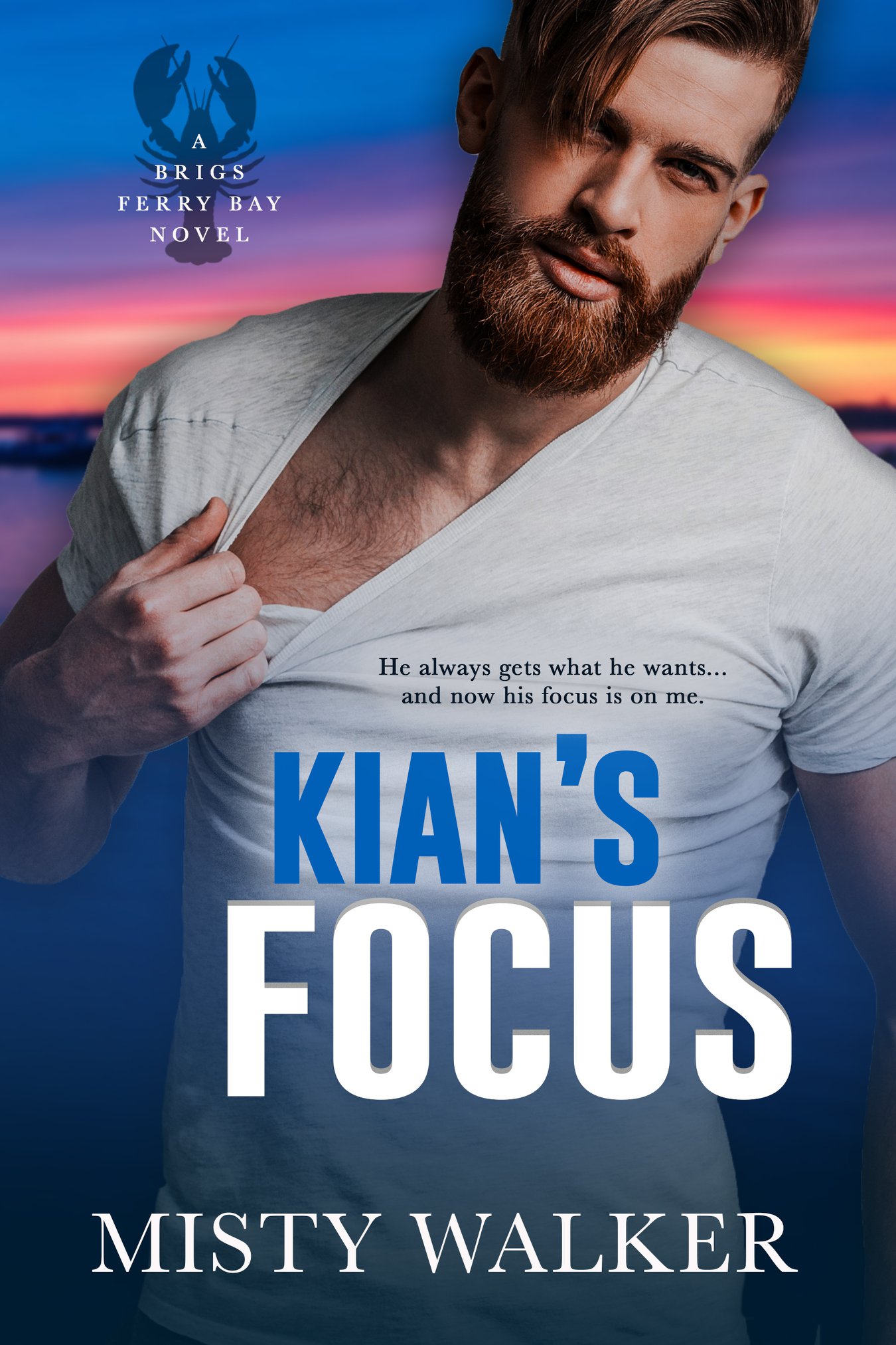 Brigs Ferry Bay book cover 2