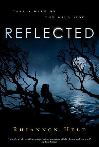 Silver book cover 3