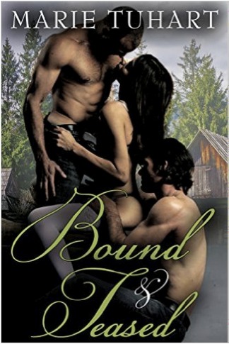 Bound & Teased book cover