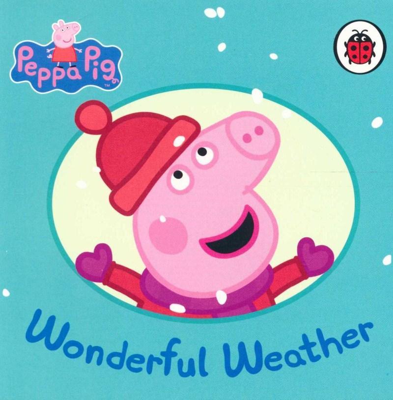 Wonderful Weather book cover
