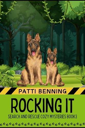 Rocking It book cover