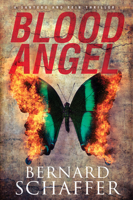 A Santero and Rein Thriller book cover 3