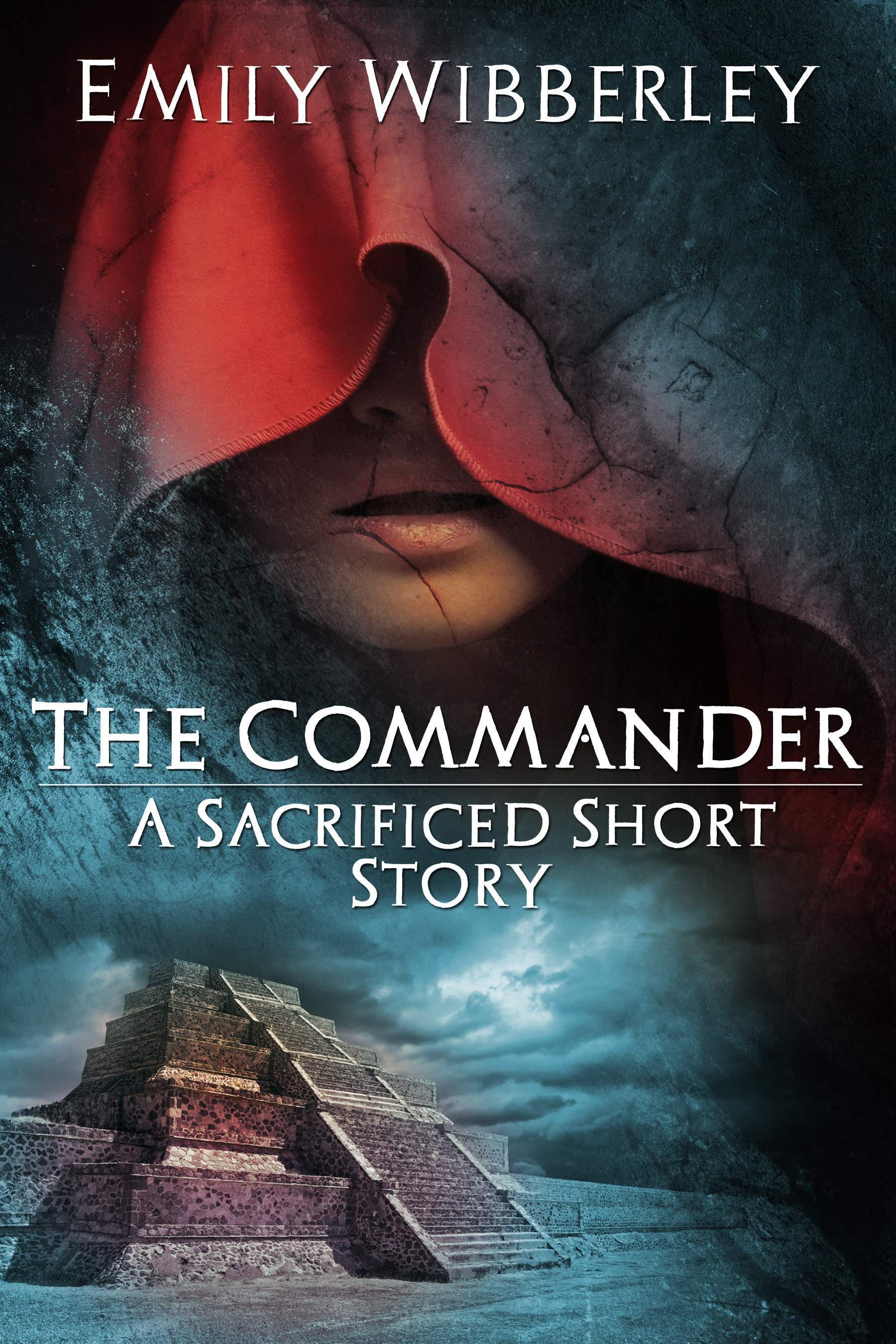 The Commander book cover