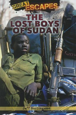 The Lost Boys of Sudan book cover